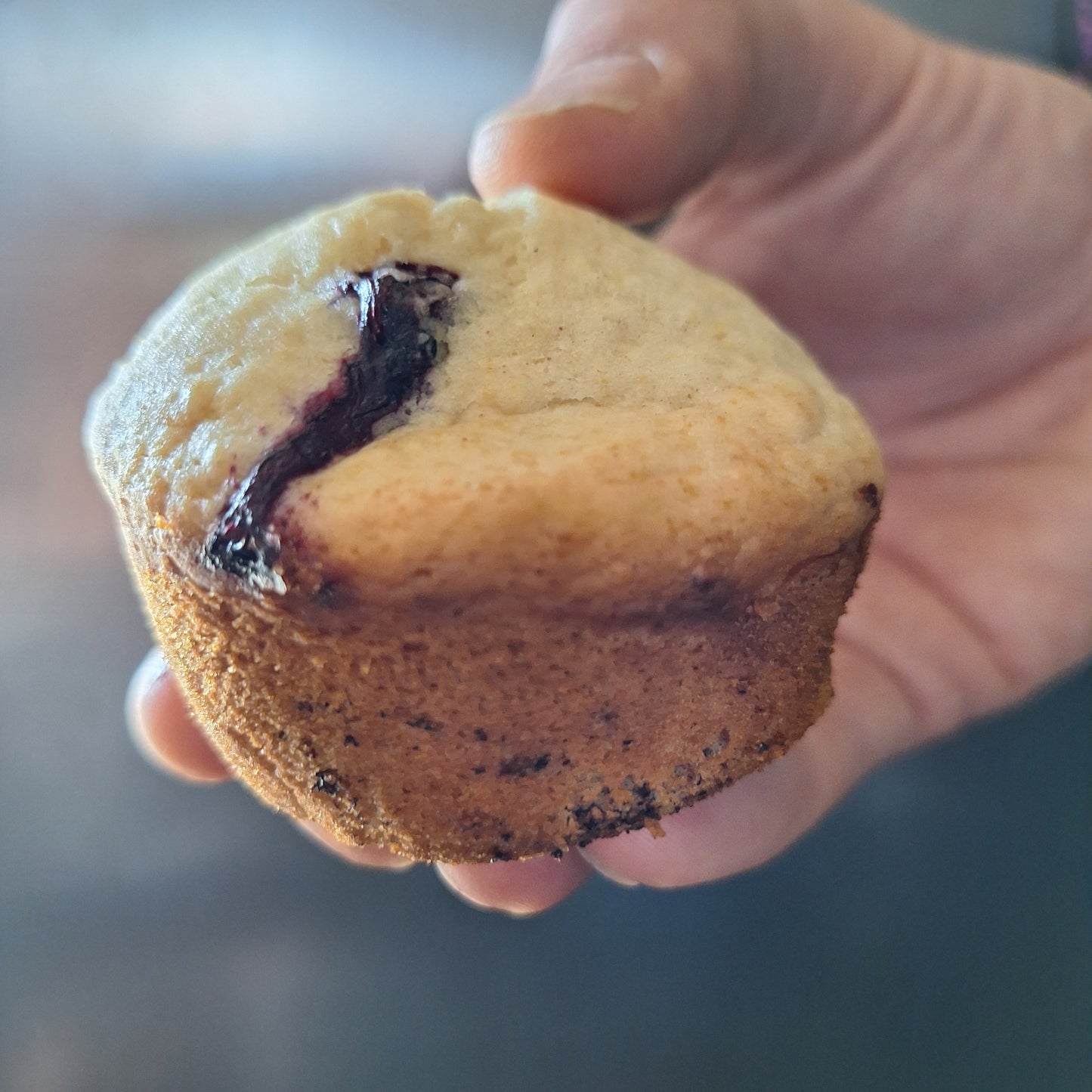 Blueberry Squeeze Muffin (Dairy-Free)